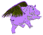hippo-fly2-4.gif